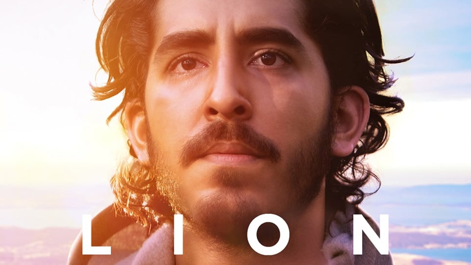Lion cover photo 