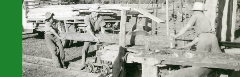 Banner_Pilliage_Sawmill