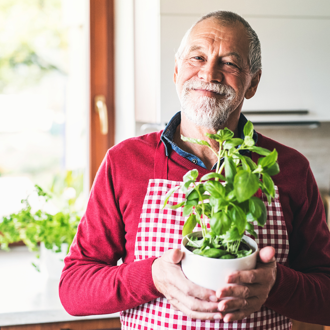 Healthy_Brain_Ageing_Insta